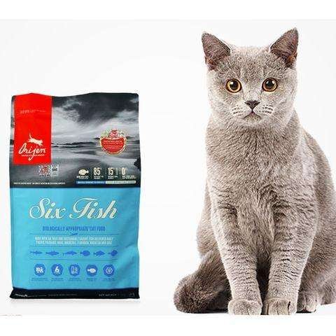 猫粮到底买什么牌子好呢,什么牌子的猫粮好猫粮选购攻略