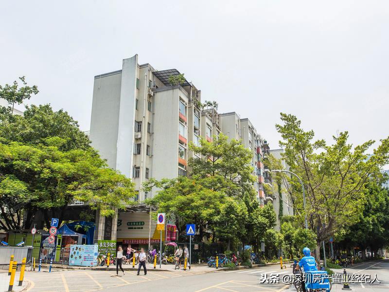 南山几大学位名校你该如何选择，学位刚需末班车时机来临