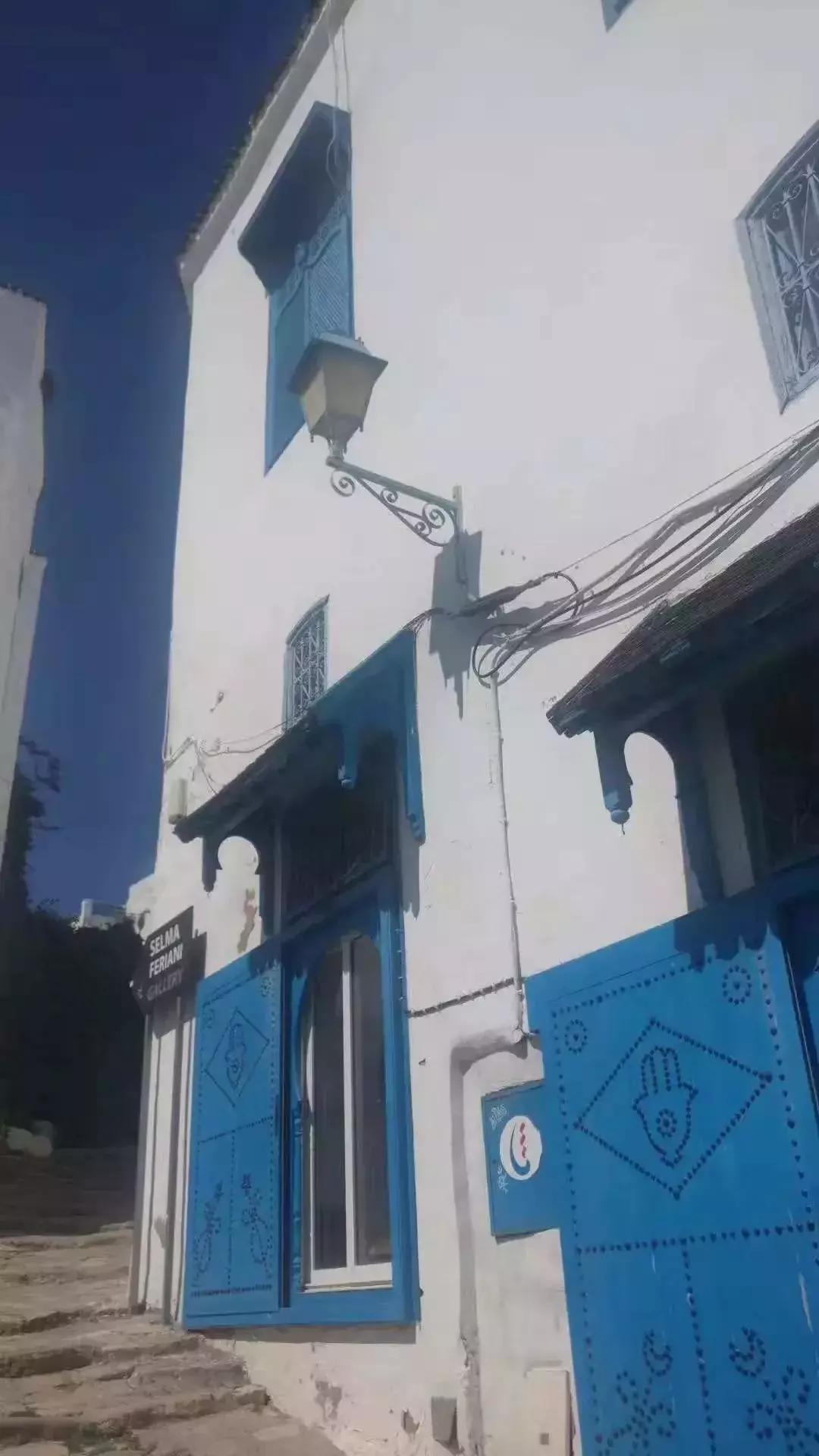 突尼斯是不是地中海,突尼斯一半沙漠