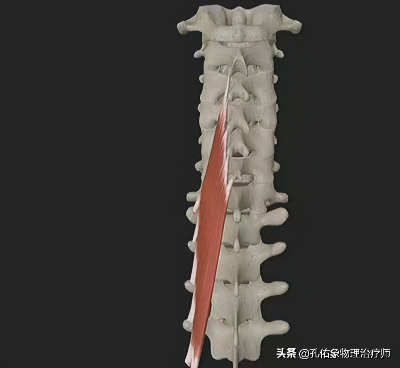 脖子按摩起来咯噔咯噔的怎么回事,转动脖子咔咔响什么原因