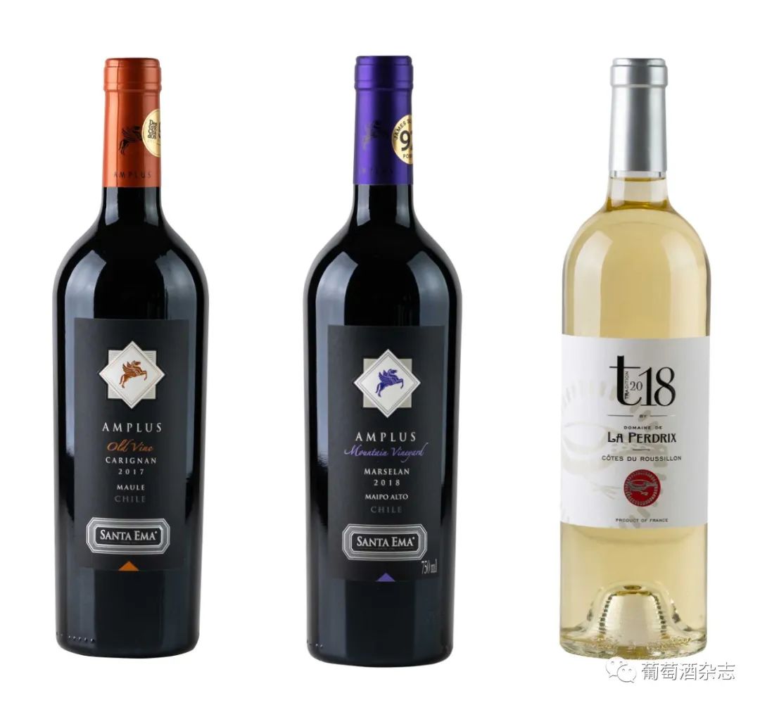 金樽奖是什么奖,金樽奖含金量