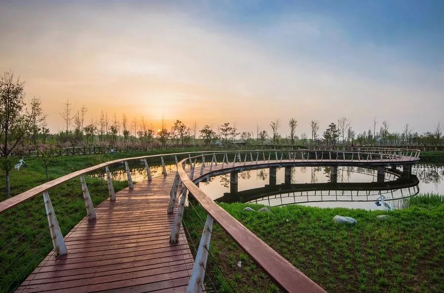 沣河往事，我的爷呀，我的河