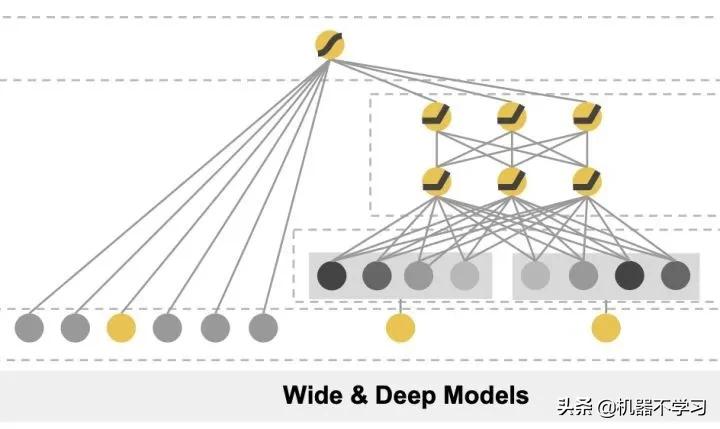 见微知著，你真的搞懂Google的WideDeep模型了吗？