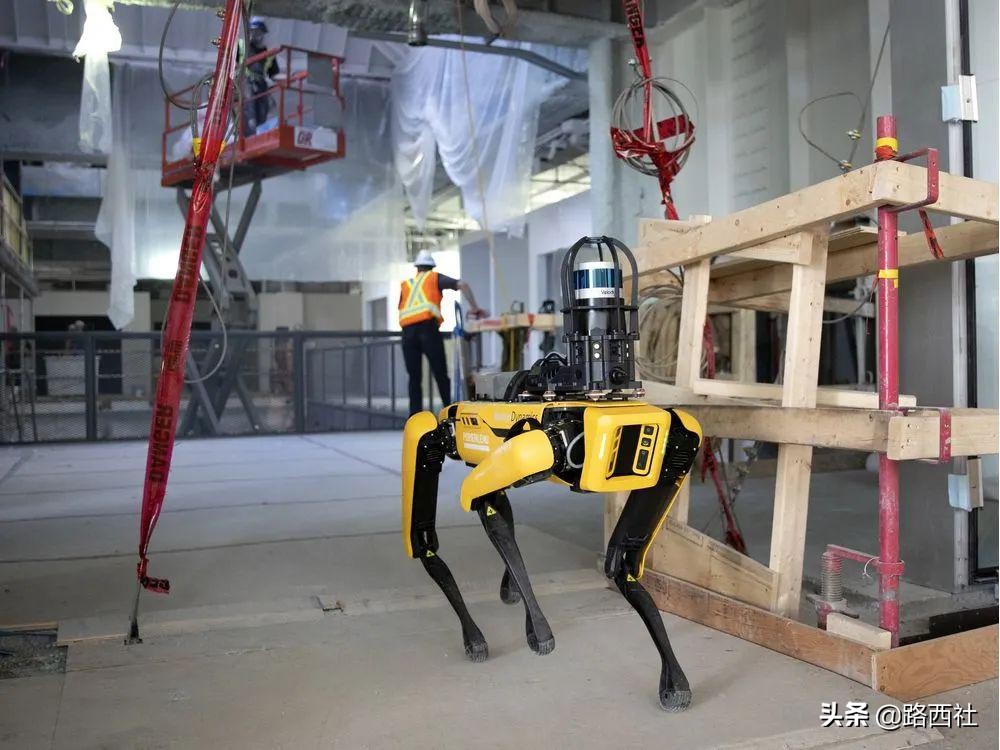 养狗嘛？53万、世界首富同款