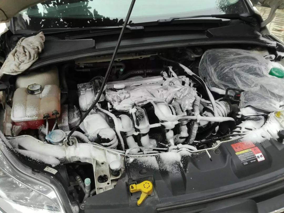 猫总是钻入汽车发动机舱如何处理,如何防止小猫钻进发动机舱