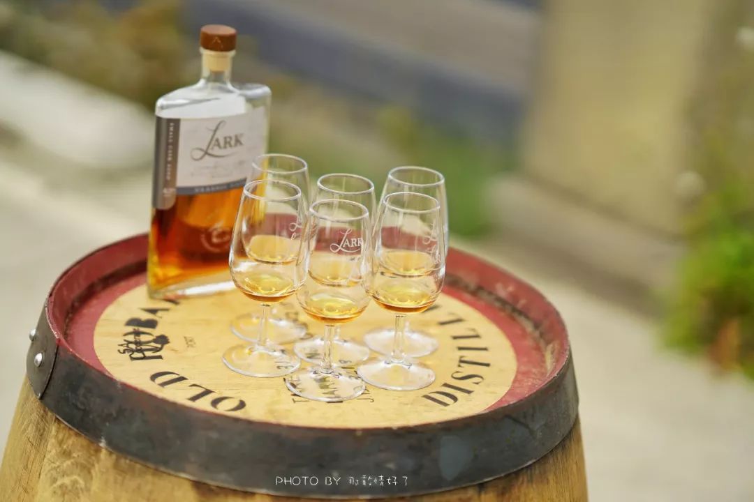 去哪里旅游可以看南极企鹅,旅游攻略南极看企鹅