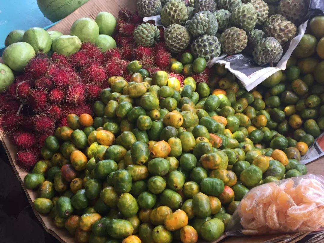 翻译专业就业前景待遇,现在翻译的就业前景怎么样