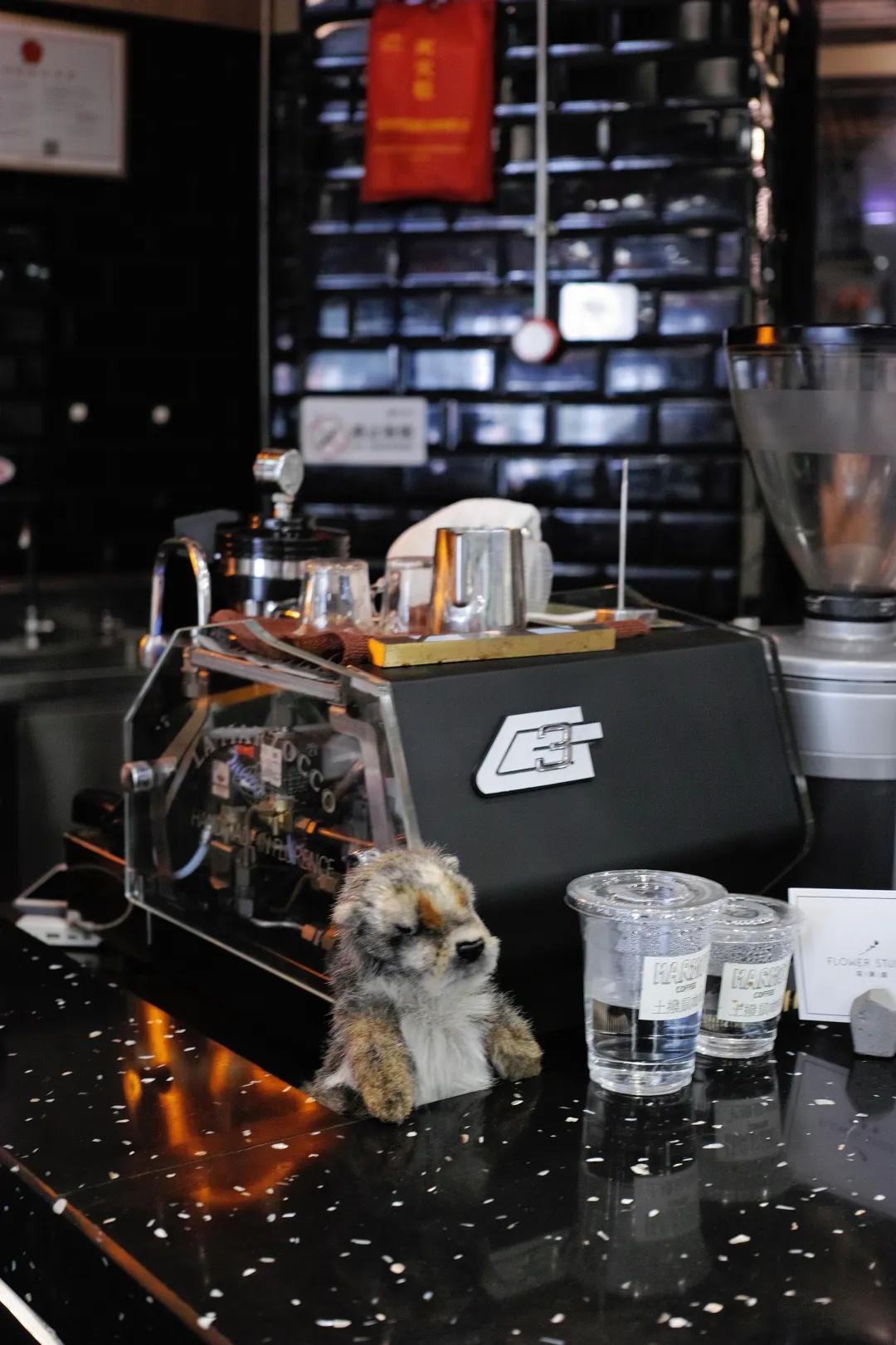 2019年厦门咖啡馆排行榜,厦门十大精品咖啡馆