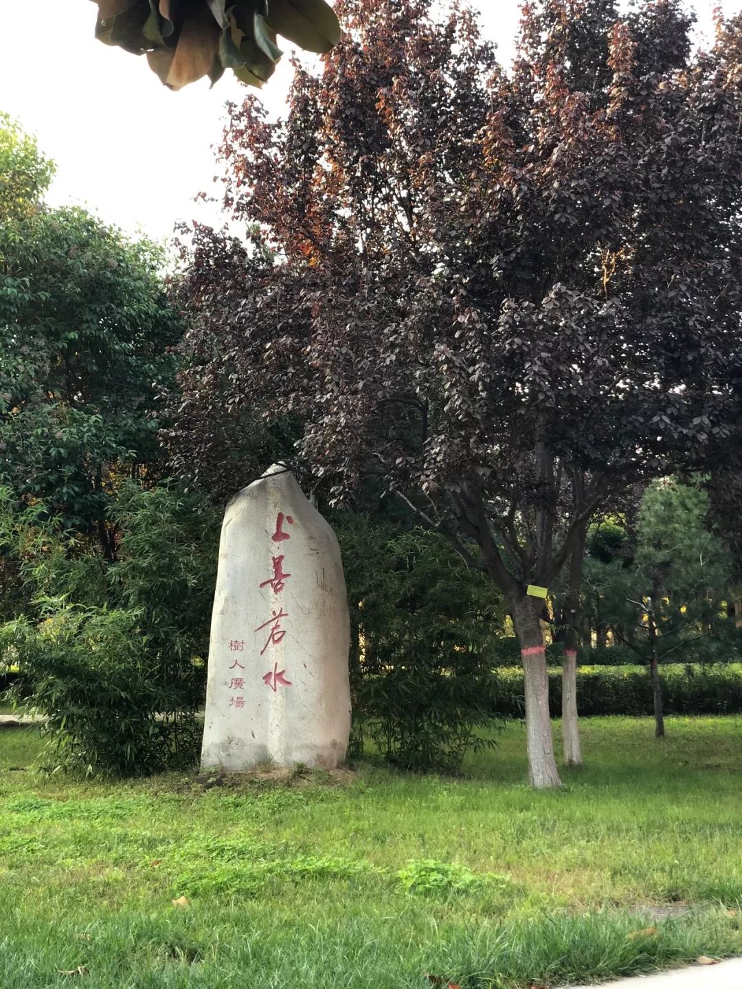 西安三大巨头,西安三巨头学校