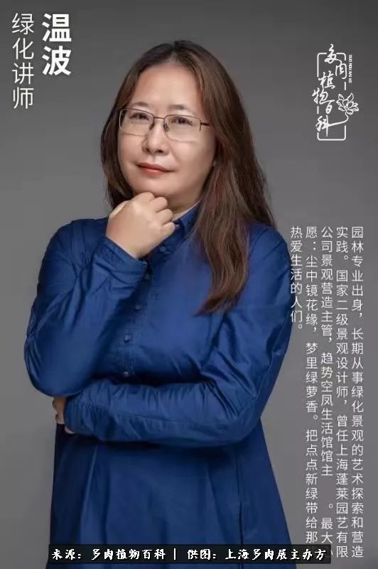 2023多肉展会直播,2023上海多肉植物展