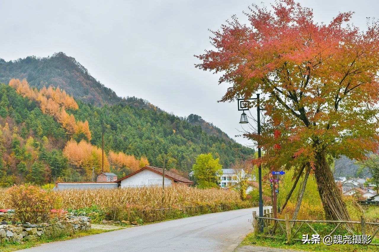留坝秦岭之夜,留坝秦岭森林公园