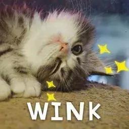 四川大学@吃、住、行、学,看川大如何照顾你生活的方方面面