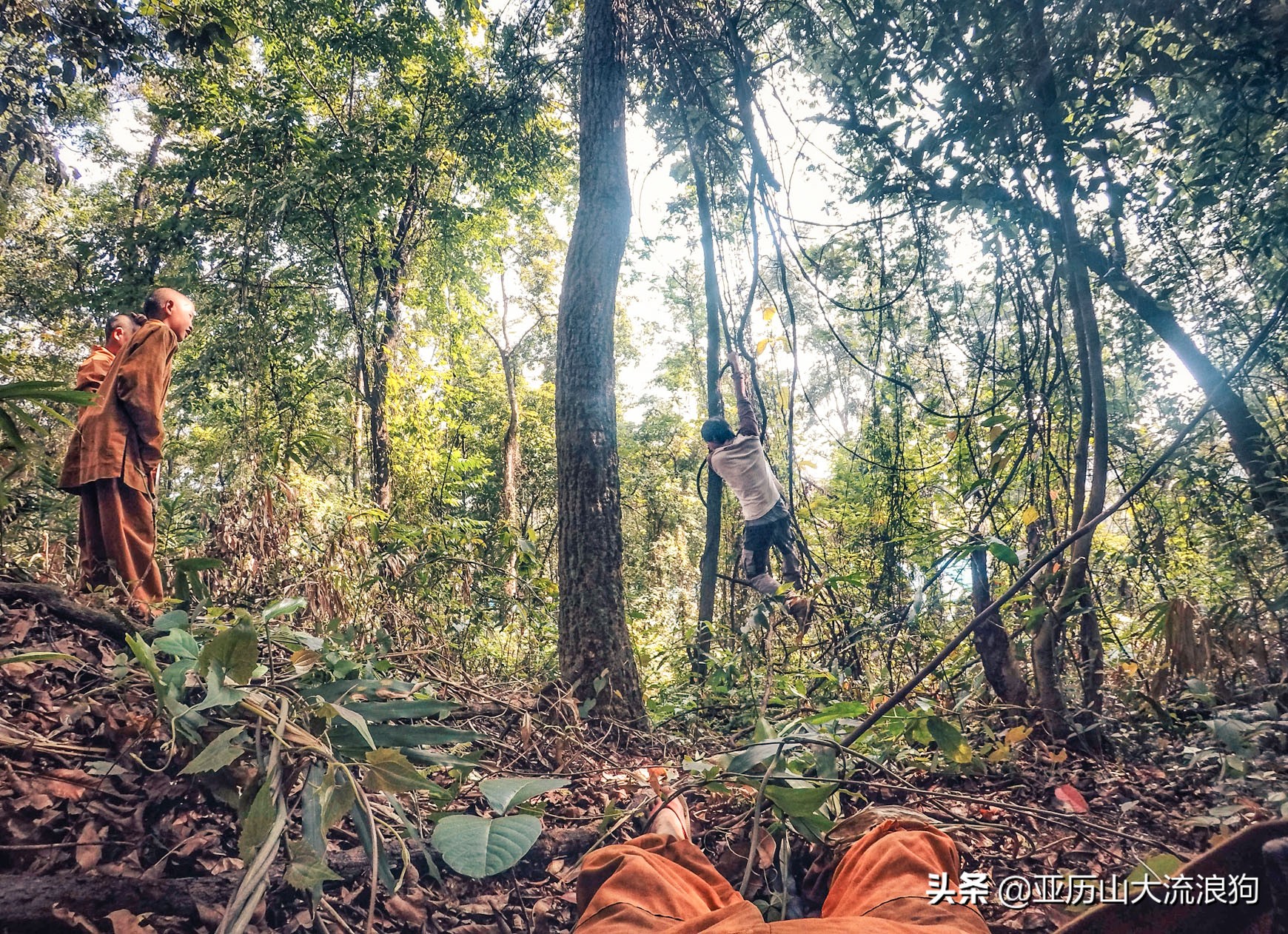 我流浪到中缅边境，发现一座奇特的寺庙，修行的僧人竟都是孩童