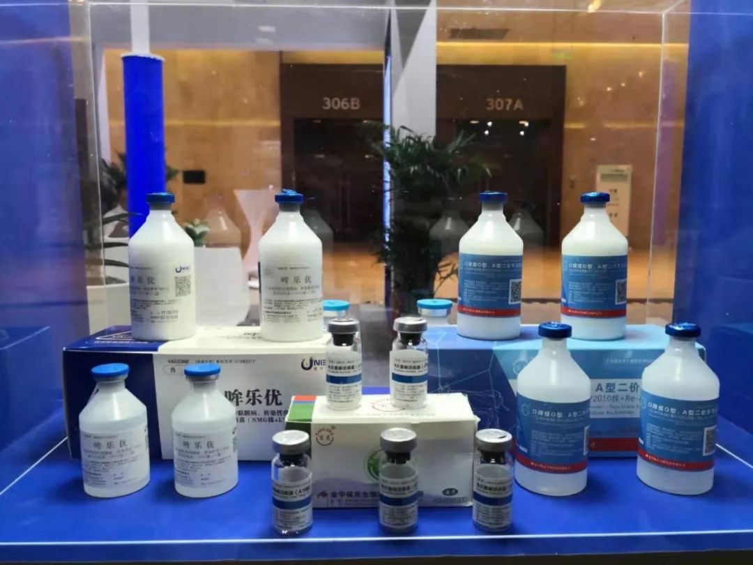 金宇生物第一届BVD/IBR教育培训会（BIET）——疫病防控专题研讨