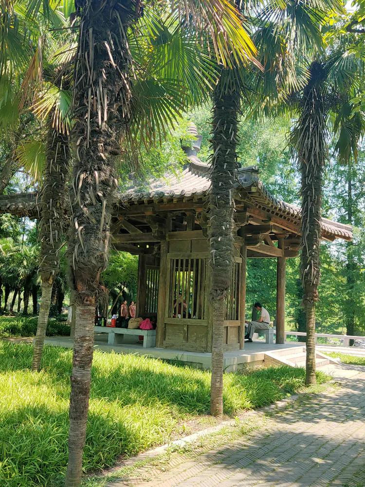 曾作为禁地，与外界隔绝二百六十多年的“玄武湖”，今日锣鼓喧天