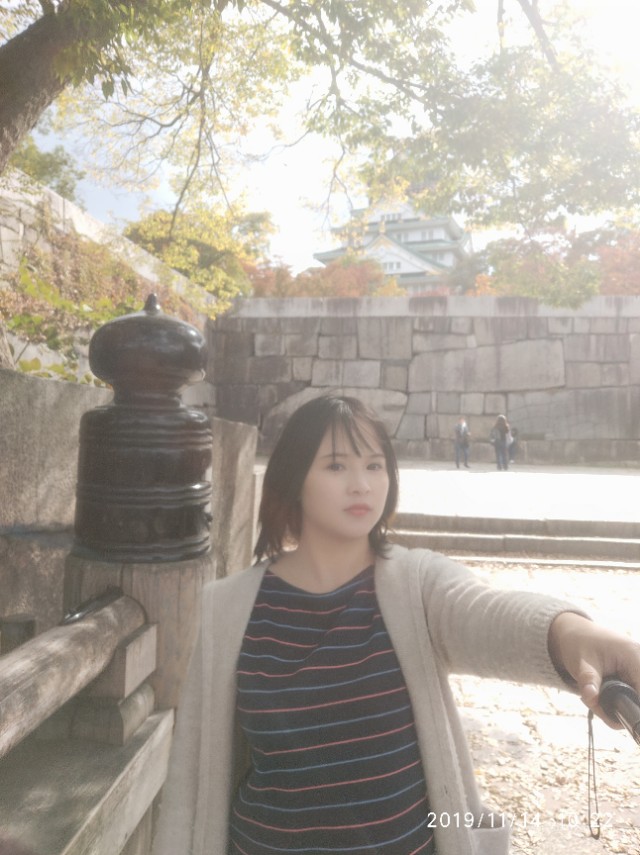 3月底日本关西8日游攻略,日本关西旅游攻略七日游