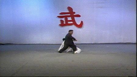 螳螂拳的实战杀法,最猛螳螂拳全套慢动作教学