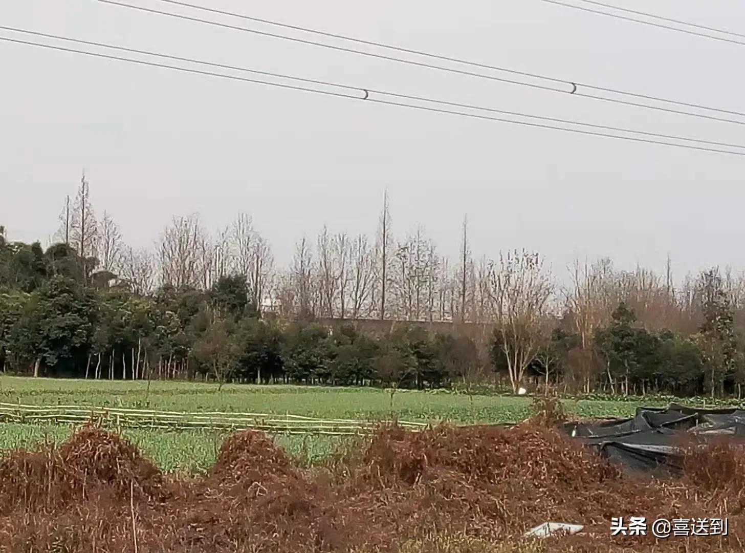 一个男人和内心只有金钱利益的女人一起，需谨慎注意化解这些风险