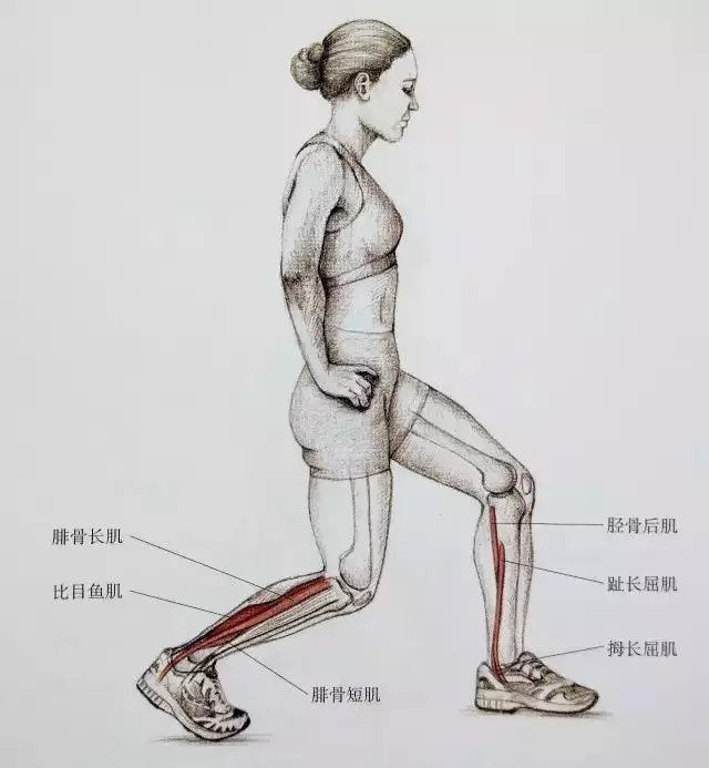 小腿拉伸图解告别疙瘩腿,大腿内侧有疙瘩怎么拉伸