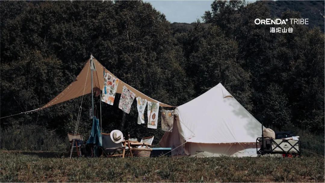 回望2020海坨耕耘路,以待2021山谷新美好