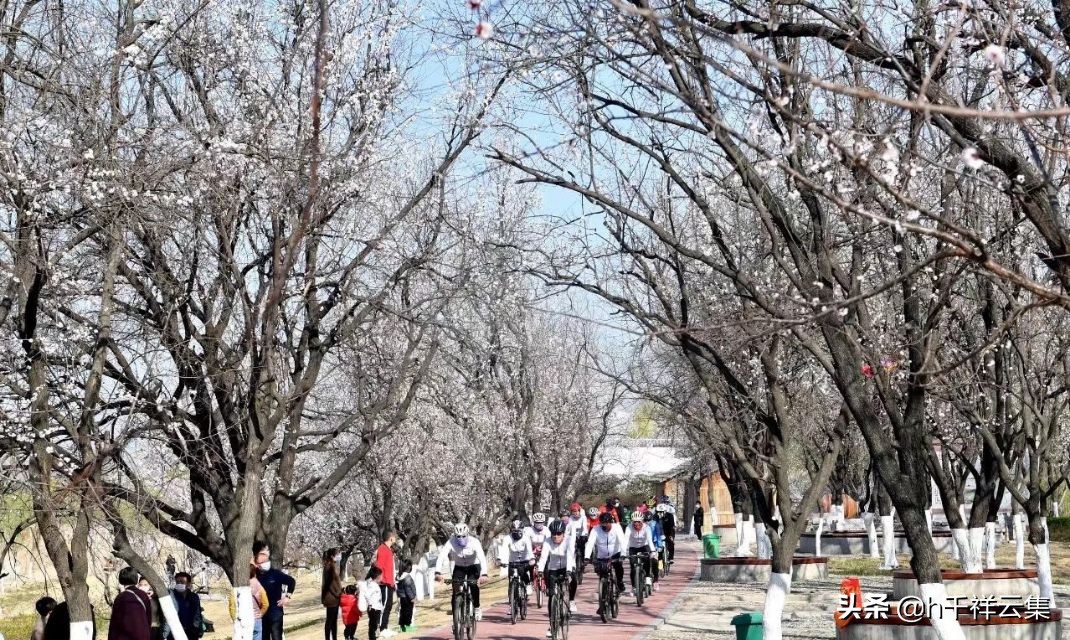 我的家乡商丘夏邑,夏邑又多一处美景有山有水还有花