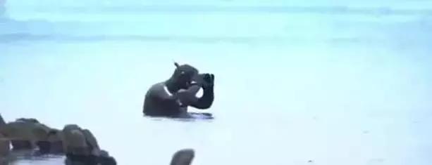 在俄罗斯,琥珀蜜蜡可以随便捡?