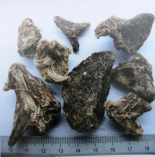 收敛止血的中成药有哪些,止血收敛的药有哪些