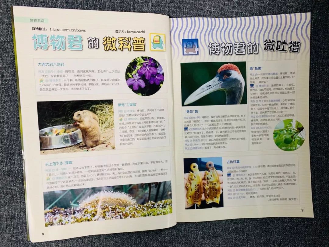 班主任推荐的书目,班主任方面的杂志推荐