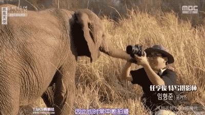 9.4分韩国催泪电视剧,韩国十部9.5评分催泪电影