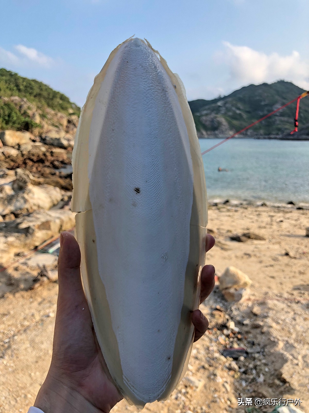 惠州赶海无人岛,国内冷门海岛无人岛推荐