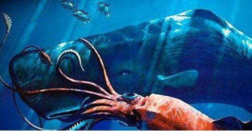 海洋中的神秘生物，能够与巨鲸缠斗，真实面目存在疑团