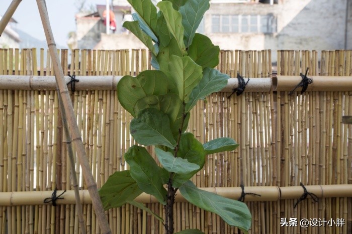 一个人手工diy,一个人的diy可以做什么