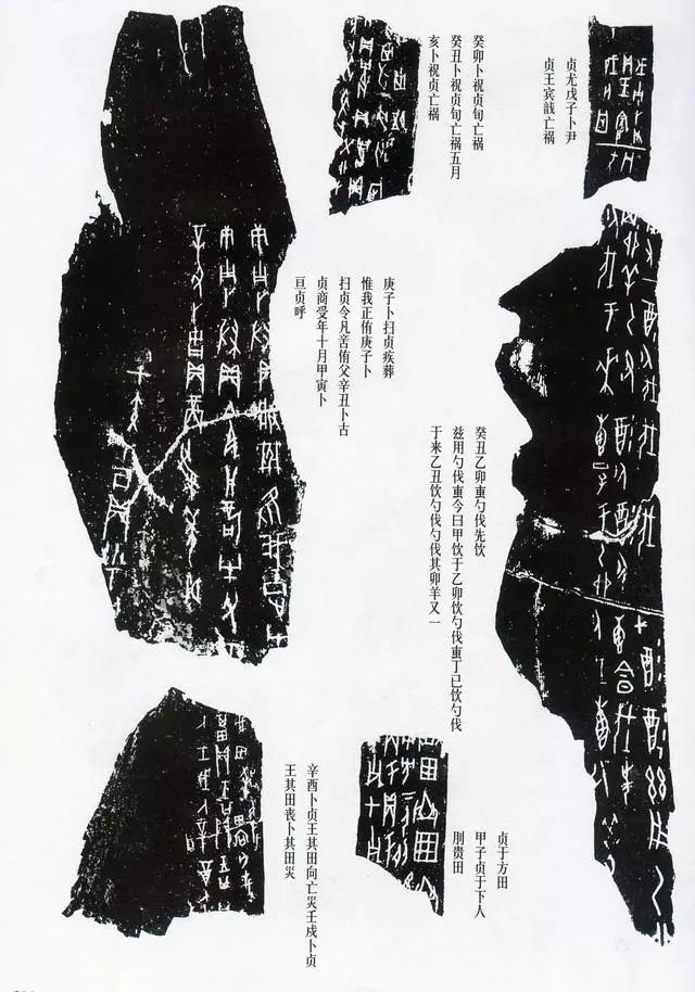 甲骨拓片精选,甲骨文拓片书法作品