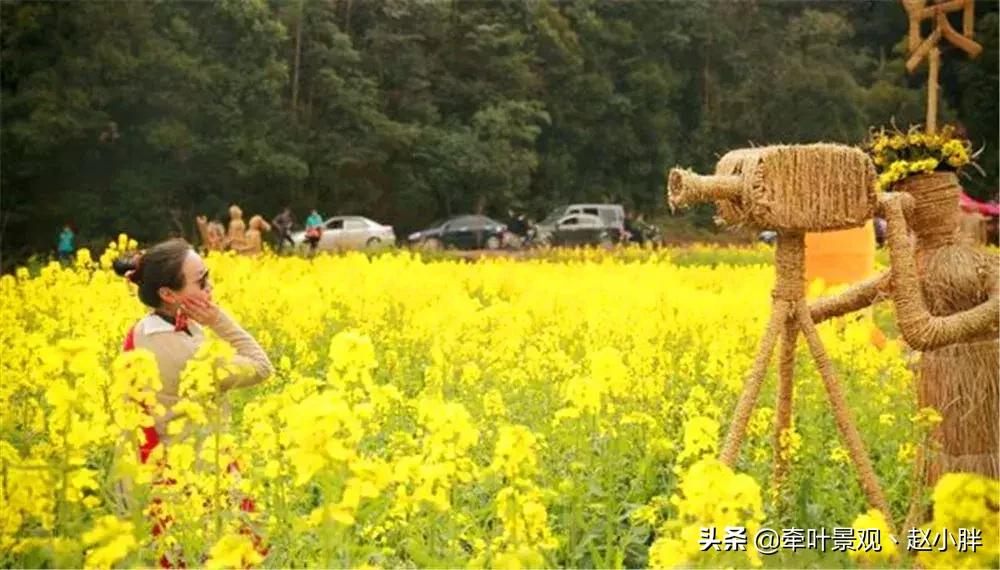 踏春寻美景,踏春赏花梯田漫步