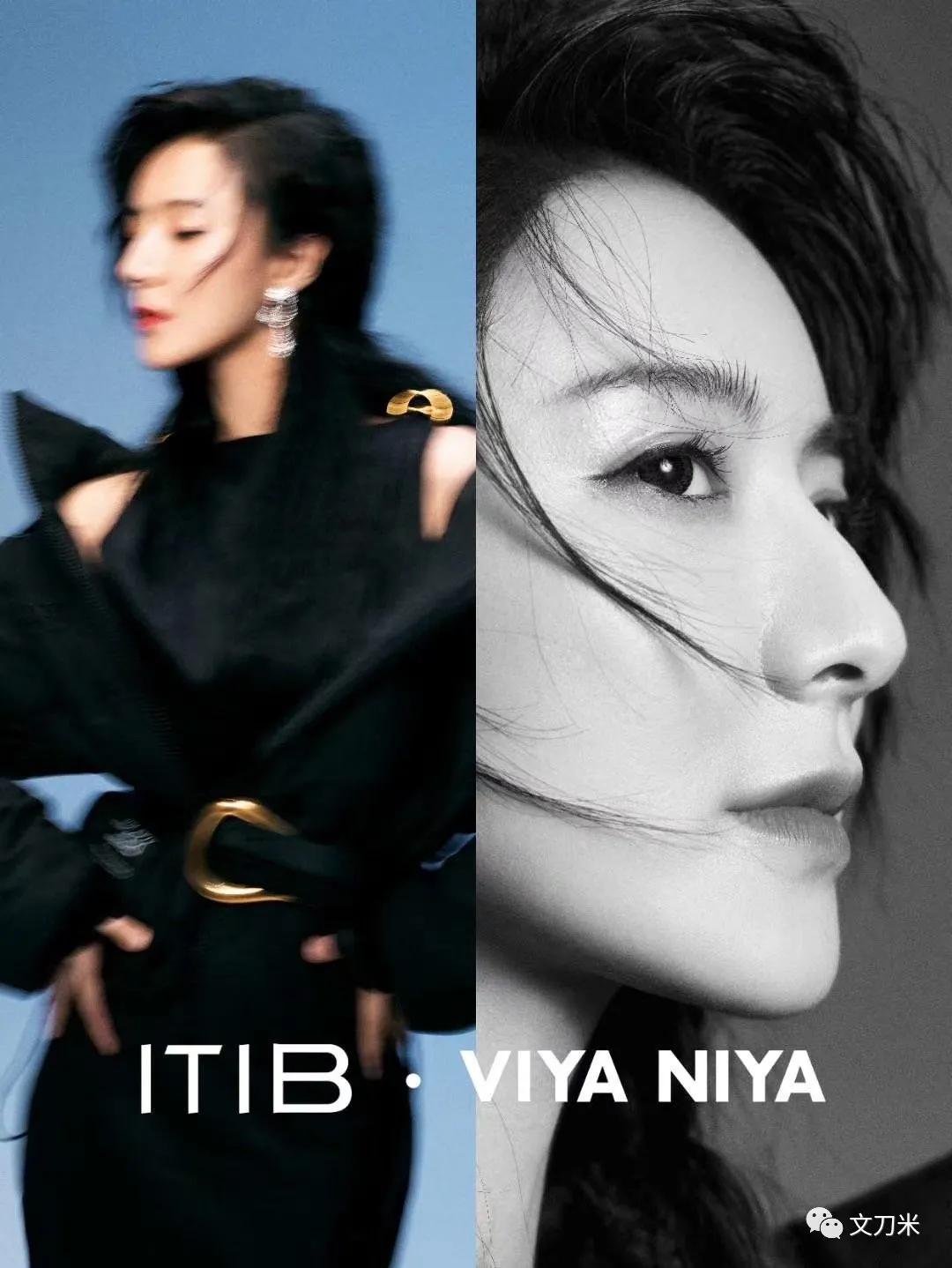 薇娅和francisco,itib是薇娅的公司吗