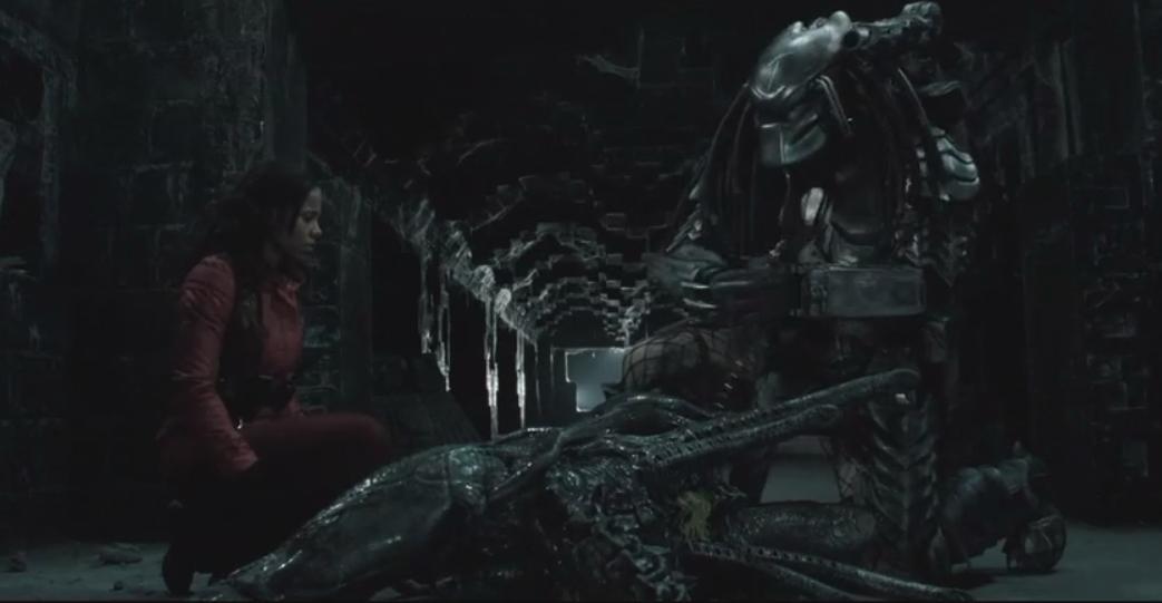 「推荐」《异形大战铁血战士》宇宙最强外星人之间的PK