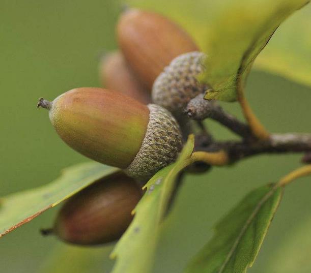 老祖宗教你怎样做人处事,为人处世必须明白的十大忌