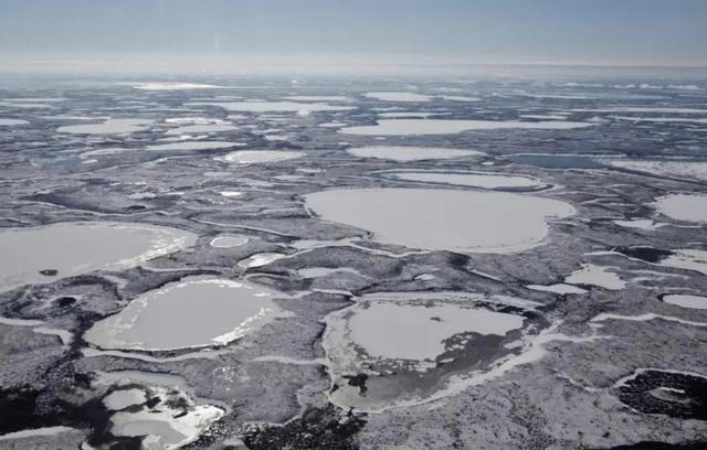 导致第6次生物大灭绝的原因,第6次生物大灭绝人类会消失吗