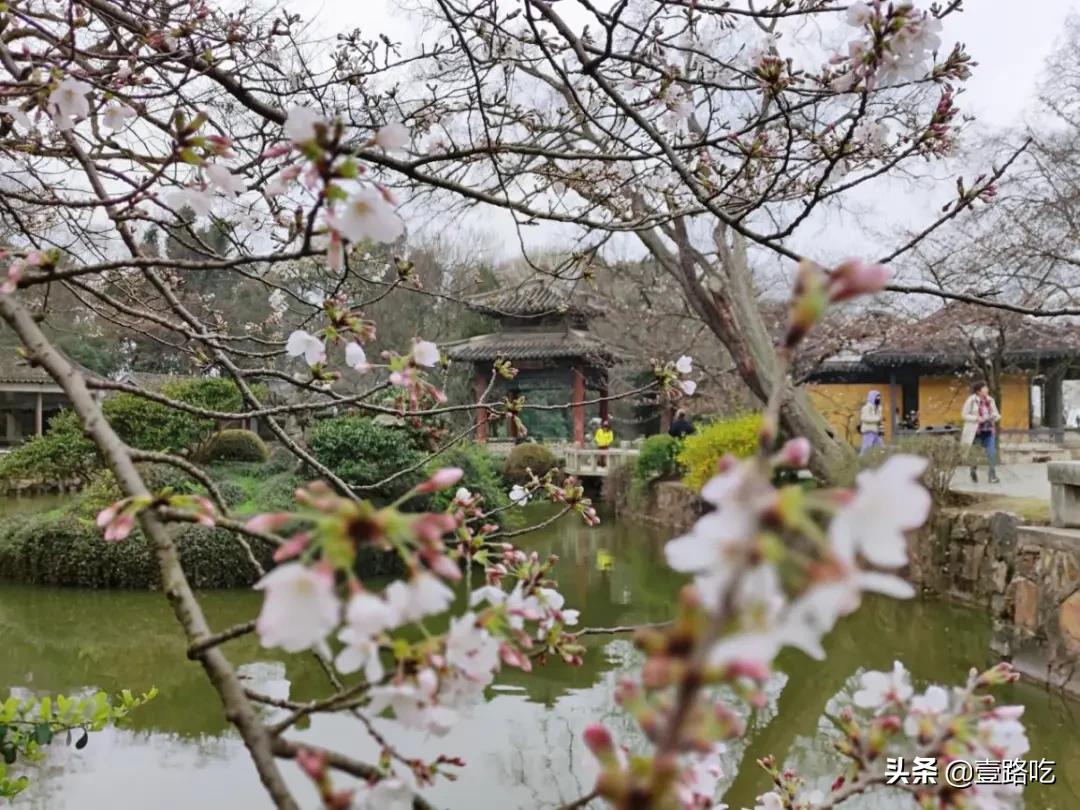 无锡人都在吃什么,无锡人为什么喜欢吃甜的