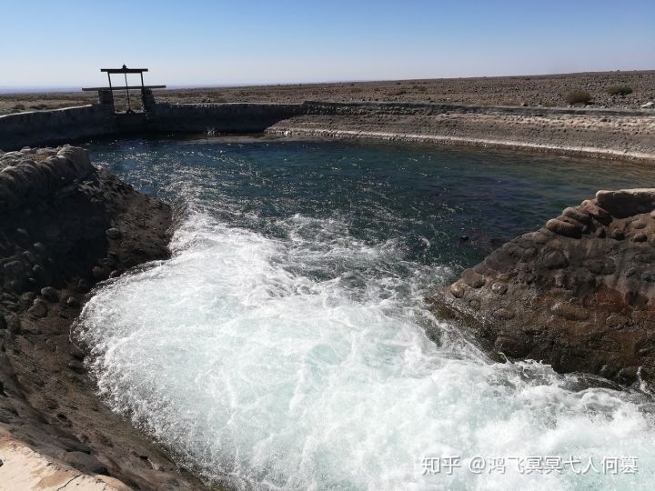 哈密戈壁之花图片,戈壁之花