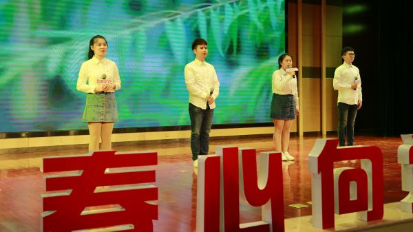 新城区五四运动,新城青年五四奖章集体