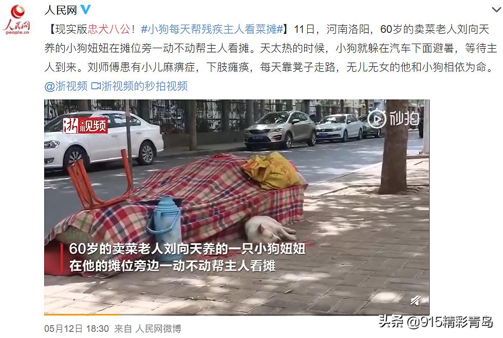 虐猫人士杀死中国留学生案件,虐猫者杀害中国留学生