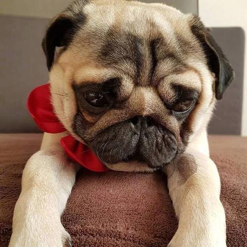 睡眠面膜补水淡斑美白韩束面膜,韩束光感透亮面膜