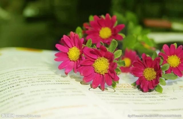 2018民谣歌曲大全100首,2018经典民谣推荐