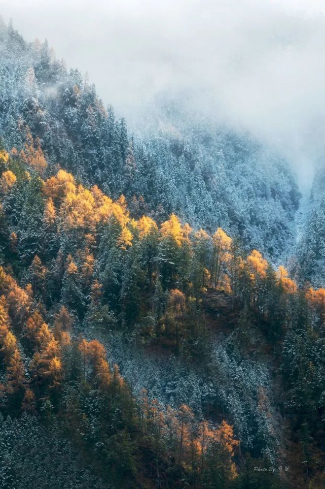 阿坝州红叶之旅,什么时候去阿坝州看秋景最佳