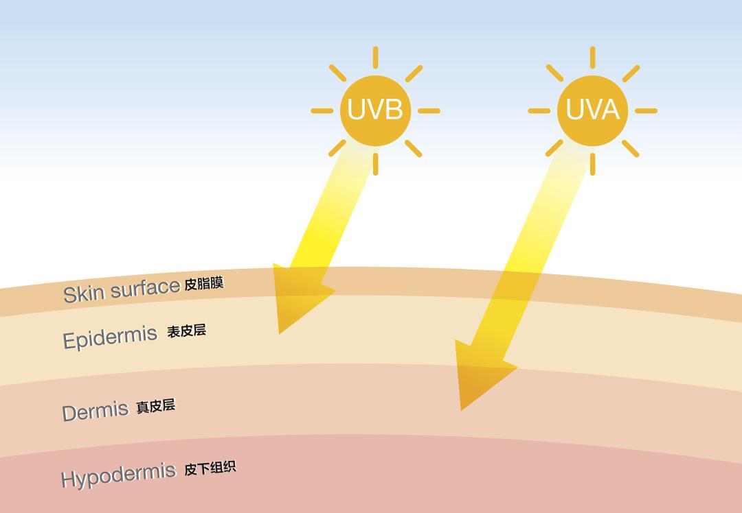 一年四季每天都涂防晒,涂完防晒变黑