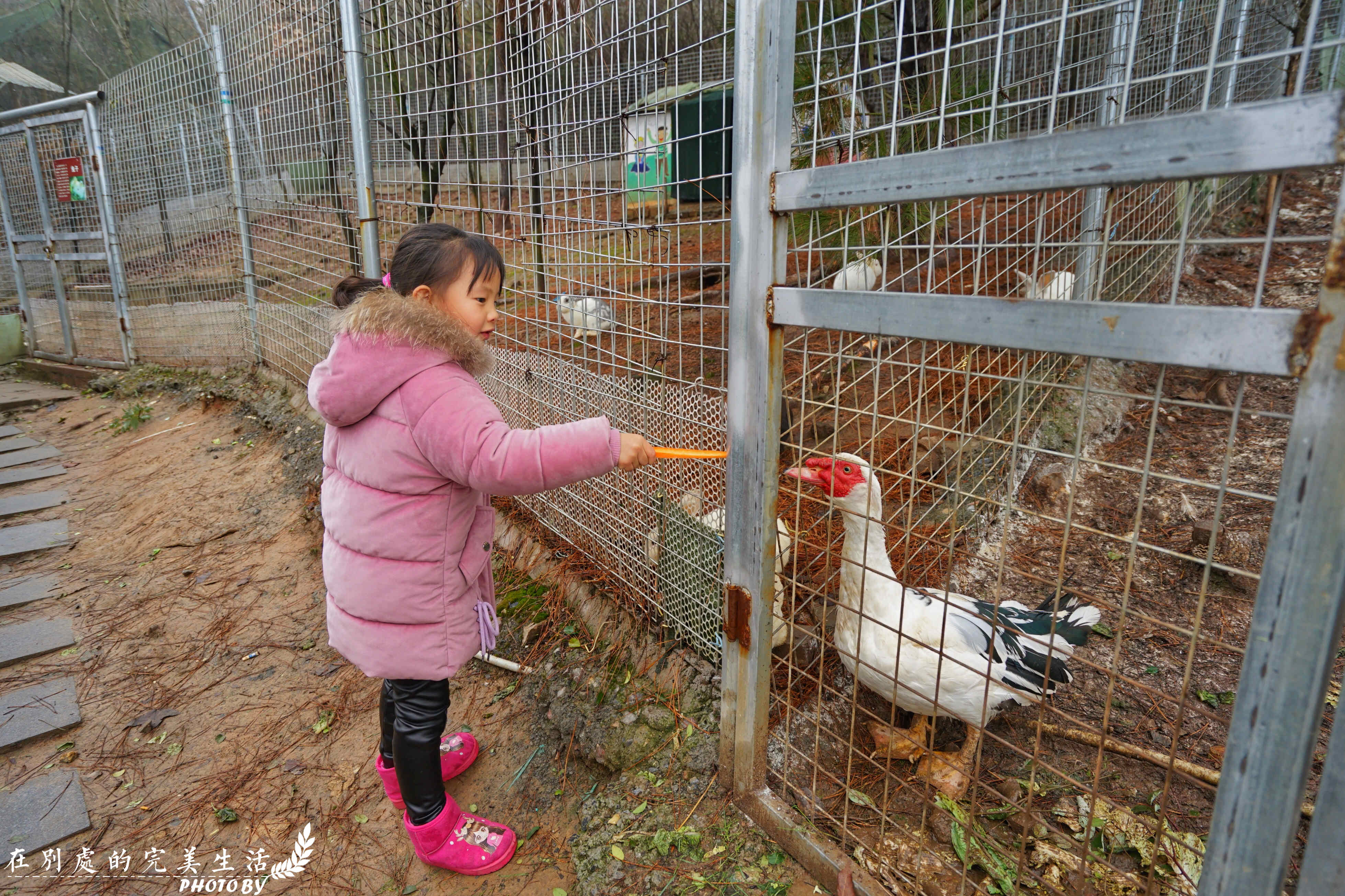 没有温泉的冬天是不完整的，汤山御庭臻品，你能想到的全都备妥