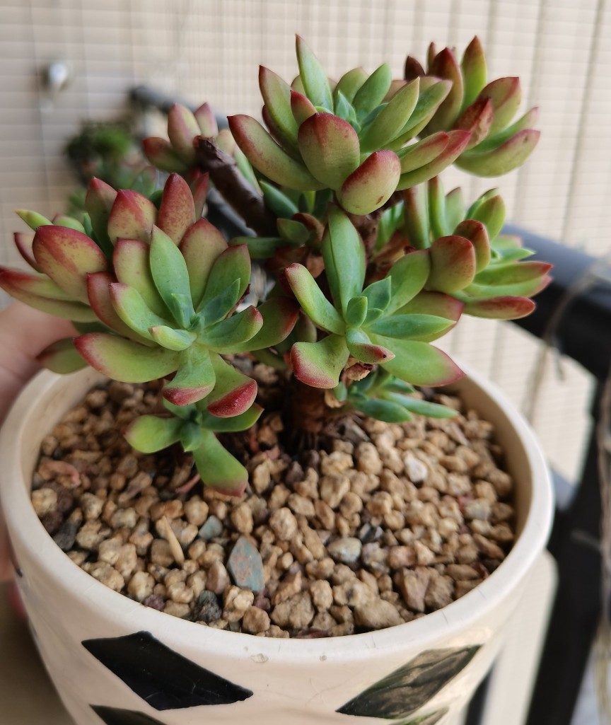 两个月过去了，十元以下的小东西都怎么样了？