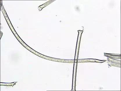 纺织纤维与面料分析介绍,天然纤维面料基础知识大全