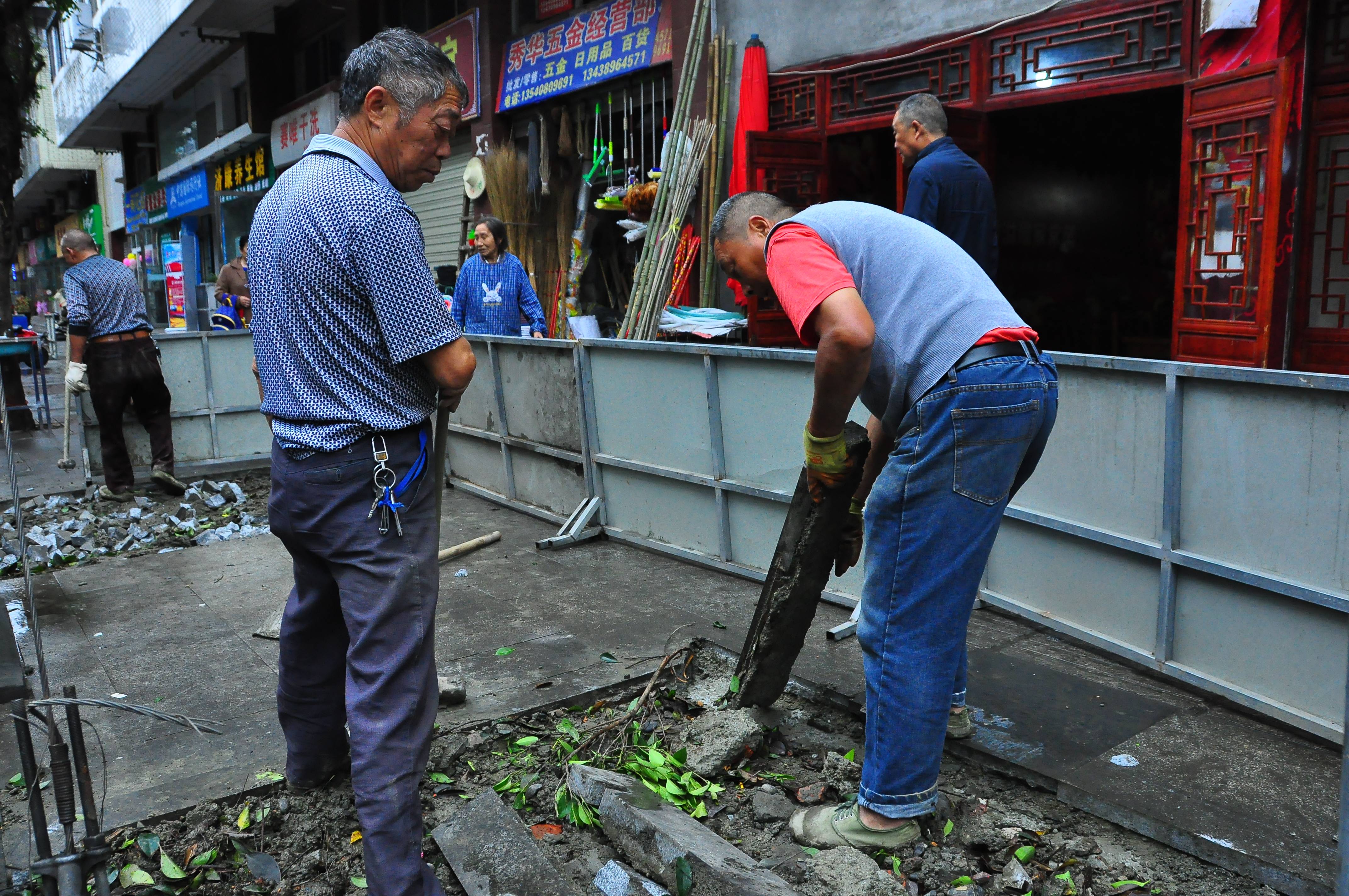 行道树“美容”、鲜花环绕.....双流的街道，你变了！